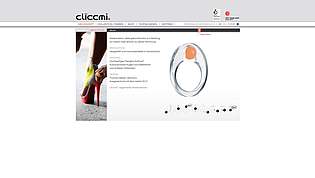 cliccmi - Konzept